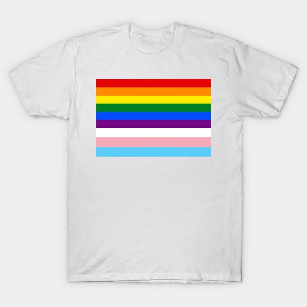 LGBTQ+ Pride Flag with Trans Colors T-Shirt by Porcupine and Gun